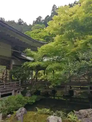 常照皇寺(京都府)