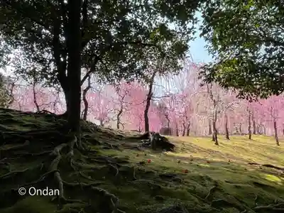城南宮(京都府)