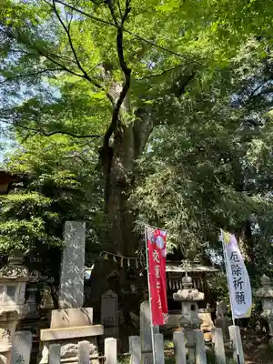 沓掛香取神社(茨城県)