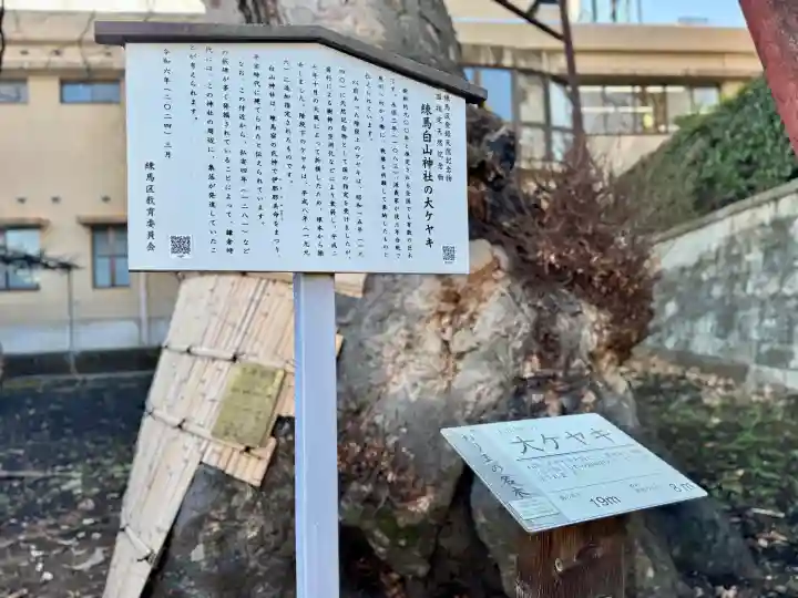 白山神社の{uncategorized: "未分類", other: "その他", undefined: "問題あり", building: "その他建物", grave: "お墓", sacred_gate: "鳥居", guardian: "狛犬", statue: "像", buddha: "仏像", history: "歴史", nature: "自然", garden: "庭園", animal: "動物", pagoda: "塔", temizu: "手水舎", mountain_gate: "山門・神門", sanctuary: "本殿・本堂", subordinate: "末社・摂社", art: "芸術", scenery: "景色", jizo: "地蔵", ema: "絵馬", goshuin: "御朱印", omikuji: "おみくじ", items: "授与品その他", amulet: "お守り", goshuincho: "御朱印帳", eats: "食事", festival: "お祭り", votive_dance: "神楽", shichigosan: "七五三参", wedding: "結婚式", experience: "体験その他", initially: "初詣", around: "周辺", anti_infection: "感染症対策"}