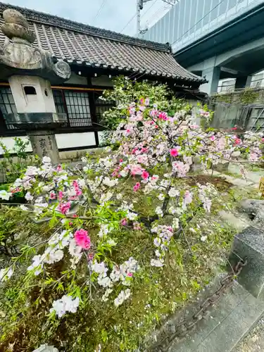 六孫王神社(京都府)