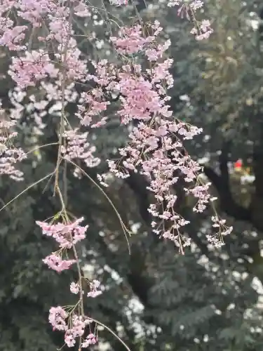 宇都宮二荒山神社の{uncategorized: "未分類", other: "その他", undefined: "問題あり", building: "その他建物", grave: "お墓", sacred_gate: "鳥居", guardian: "狛犬", statue: "像", buddha: "仏像", history: "歴史", nature: "自然", garden: "庭園", animal: "動物", pagoda: "塔", temizu: "手水舎", mountain_gate: "山門・神門", sanctuary: "本殿・本堂", subordinate: "末社・摂社", art: "芸術", scenery: "景色", jizo: "地蔵", ema: "絵馬", goshuin: "御朱印", omikuji: "おみくじ", items: "授与品その他", amulet: "お守り", goshuincho: "御朱印帳", eats: "食事", festival: "お祭り", votive_dance: "神楽", shichigosan: "七五三参", wedding: "結婚式", experience: "体験その他", initially: "初詣", around: "周辺", anti_infection: "感染症対策"}