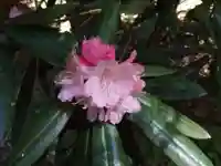 荒穂神社(福岡県)