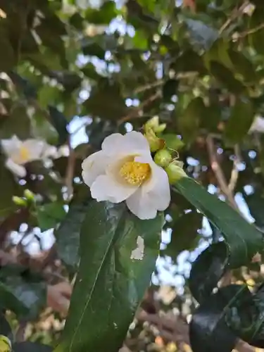 沙沙貴神社(滋賀県)