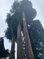 小国両神社の自然