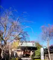 福蔵院(東京都)