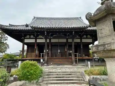 般若寺 ❁﻿コスモス寺❁(奈良県)