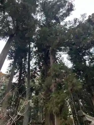 大宮温泉神社(栃木県)