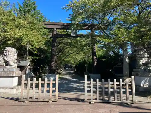 冨士御室浅間神社の鳥居