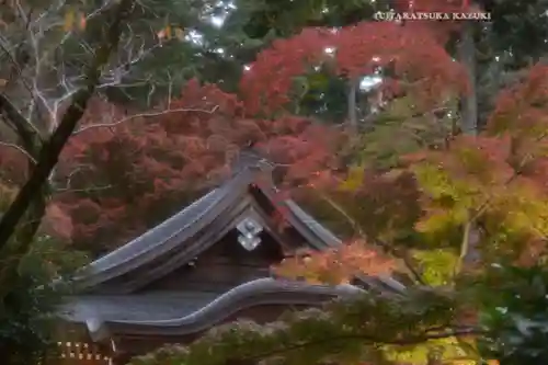 高幡不動尊　金剛寺(東京都)