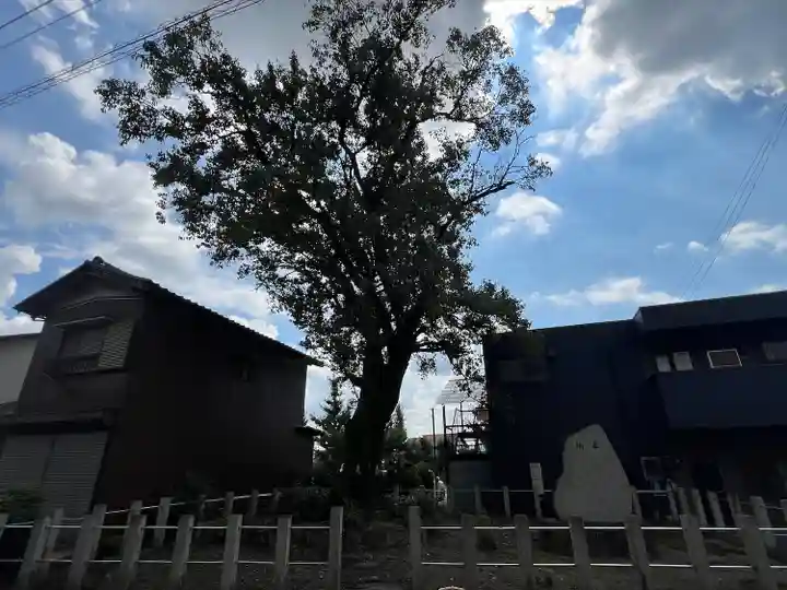 手力雄神社(岐阜県)