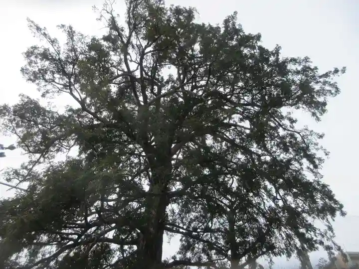 下神明天祖神社(東京都)