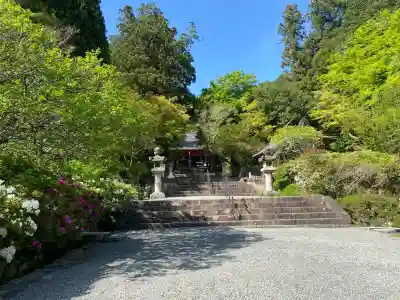 観心寺の{uncategorized: "未分類", other: "その他", undefined: "問題あり", building: "その他建物", grave: "お墓", sacred_gate: "鳥居", guardian: "狛犬", statue: "像", buddha: "仏像", history: "歴史", nature: "自然", garden: "庭園", animal: "動物", pagoda: "塔", temizu: "手水舎", mountain_gate: "山門・神門", sanctuary: "本殿・本堂", subordinate: "末社・摂社", art: "芸術", scenery: "景色", jizo: "地蔵", ema: "絵馬", goshuin: "御朱印", omikuji: "おみくじ", items: "授与品その他", amulet: "お守り", goshuincho: "御朱印帳", eats: "食事", festival: "お祭り", votive_dance: "神楽", shichigosan: "七五三参", wedding: "結婚式", experience: "体験その他", initially: "初詣", around: "周辺", anti_infection: "感染症対策"}