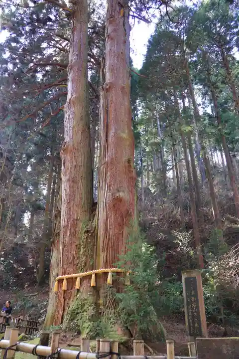 御岩神社(茨城県)