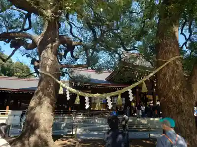 明治神宮(東京都)