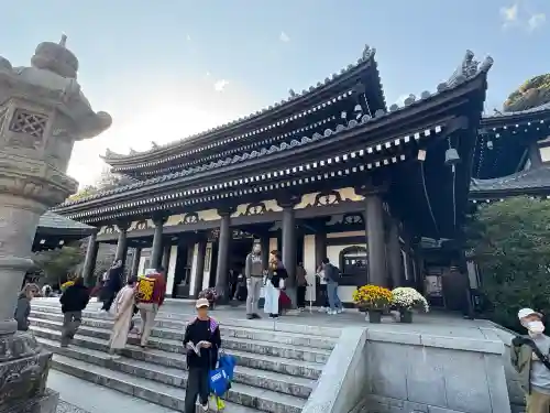 長谷寺(神奈川県)