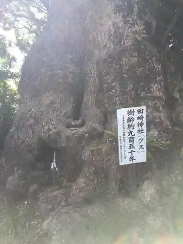 七狩長田貫神社の自然