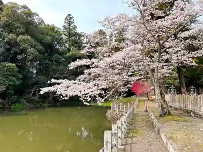 大嶋神社奥津嶋神社(滋賀県)