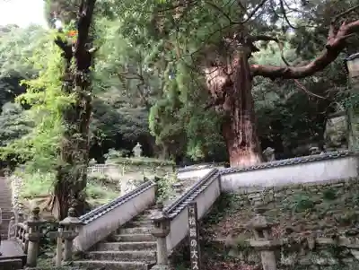 万松院(長崎県)