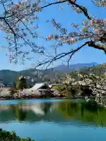 大覚寺の{uncategorized: "未分類", other: "その他", undefined: "問題あり", building: "その他建物", grave: "お墓", sacred_gate: "鳥居", guardian: "狛犬", statue: "像", buddha: "仏像", history: "歴史", nature: "自然", garden: "庭園", animal: "動物", pagoda: "塔", temizu: "手水舎", mountain_gate: "山門・神門", sanctuary: "本殿・本堂", subordinate: "末社・摂社", art: "芸術", scenery: "景色", jizo: "地蔵", ema: "絵馬", goshuin: "御朱印", omikuji: "おみくじ", items: "授与品その他", amulet: "お守り", goshuincho: "御朱印帳", eats: "食事", festival: "お祭り", votive_dance: "神楽", shichigosan: "七五三参", wedding: "結婚式", experience: "体験その他", initially: "初詣", around: "周辺", anti_infection: "感染症対策"}