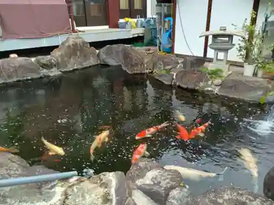 上行寺(山梨県)