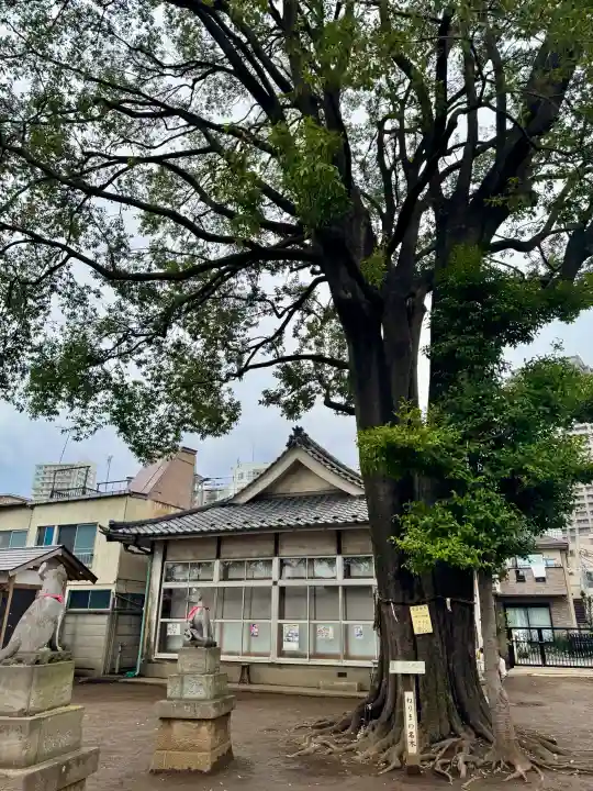 和田稲荷神社の{uncategorized: "未分類", other: "その他", undefined: "問題あり", building: "その他建物", grave: "お墓", sacred_gate: "鳥居", guardian: "狛犬", statue: "像", buddha: "仏像", history: "歴史", nature: "自然", garden: "庭園", animal: "動物", pagoda: "塔", temizu: "手水舎", mountain_gate: "山門・神門", sanctuary: "本殿・本堂", subordinate: "末社・摂社", art: "芸術", scenery: "景色", jizo: "地蔵", ema: "絵馬", goshuin: "御朱印", omikuji: "おみくじ", items: "授与品その他", amulet: "お守り", goshuincho: "御朱印帳", eats: "食事", festival: "お祭り", votive_dance: "神楽", shichigosan: "七五三参", wedding: "結婚式", experience: "体験その他", initially: "初詣", around: "周辺", anti_infection: "感染症対策"}