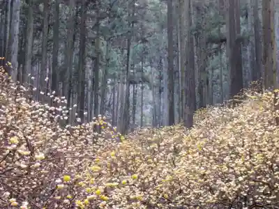 焼森山雷神神社のお祭り