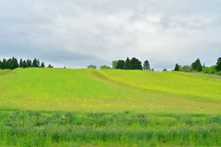 沢山神社(澤山神社)(新潟県)