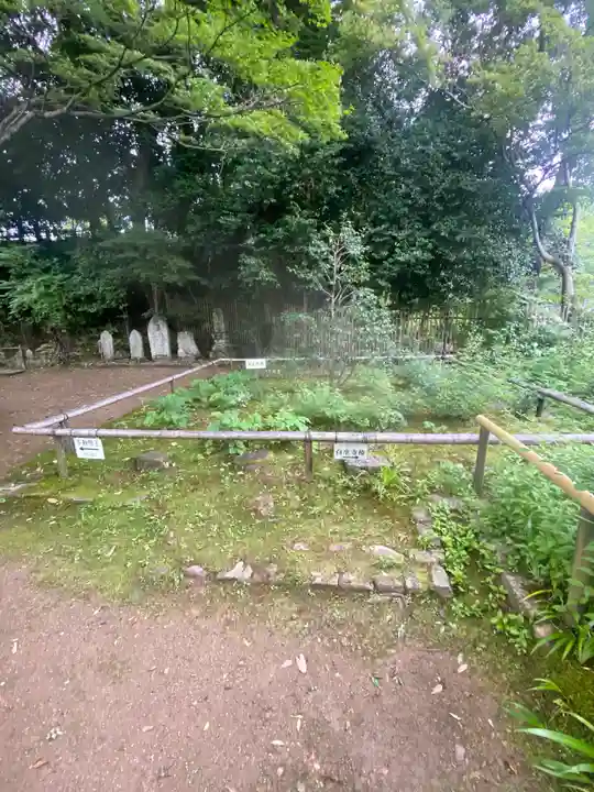 白毫寺(奈良県)