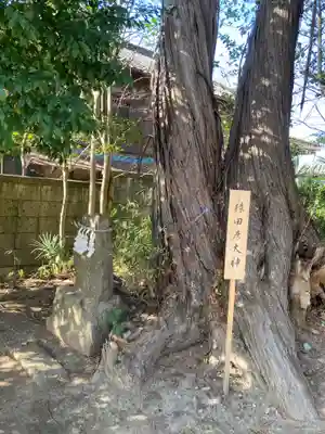 星宮神社(栃木県)