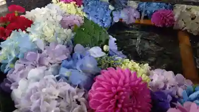 新琴似神社(北海道)