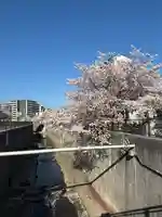 白菊稲荷大神(兵庫県)