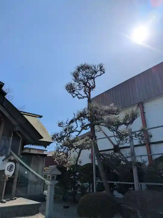 亀田龍神社(北海道)
