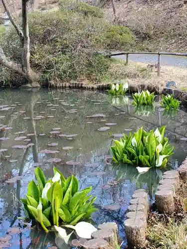 普門院（文知摺観音）(福島県)