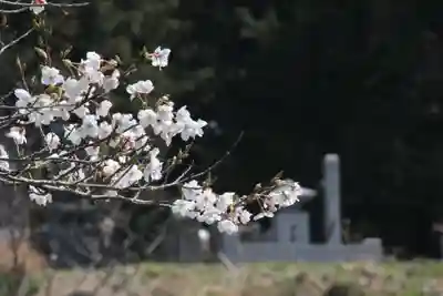 国宝 大法寺(長野県)