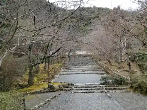 二尊院の{uncategorized: "未分類", other: "その他", undefined: "問題あり", building: "その他建物", grave: "お墓", sacred_gate: "鳥居", guardian: "狛犬", statue: "像", buddha: "仏像", history: "歴史", nature: "自然", garden: "庭園", animal: "動物", pagoda: "塔", temizu: "手水舎", mountain_gate: "山門・神門", sanctuary: "本殿・本堂", subordinate: "末社・摂社", art: "芸術", scenery: "景色", jizo: "地蔵", ema: "絵馬", goshuin: "御朱印", omikuji: "おみくじ", items: "授与品その他", amulet: "お守り", goshuincho: "御朱印帳", eats: "食事", festival: "お祭り", votive_dance: "神楽", shichigosan: "七五三参", wedding: "結婚式", experience: "体験その他", initially: "初詣", around: "周辺", anti_infection: "感染症対策"}