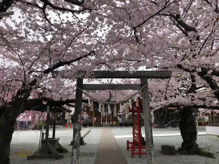 七郷神社の{uncategorized: "未分類", other: "その他", undefined: "問題あり", building: "その他建物", grave: "お墓", sacred_gate: "鳥居", guardian: "狛犬", statue: "像", buddha: "仏像", history: "歴史", nature: "自然", garden: "庭園", animal: "動物", pagoda: "塔", temizu: "手水舎", mountain_gate: "山門・神門", sanctuary: "本殿・本堂", subordinate: "末社・摂社", art: "芸術", scenery: "景色", jizo: "地蔵", ema: "絵馬", goshuin: "御朱印", omikuji: "おみくじ", items: "授与品その他", amulet: "お守り", goshuincho: "御朱印帳", eats: "食事", festival: "お祭り", votive_dance: "神楽", shichigosan: "七五三参", wedding: "結婚式", experience: "体験その他", initially: "初詣", around: "周辺", anti_infection: "感染症対策"}