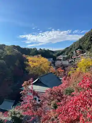 朝護孫子寺(奈良県)