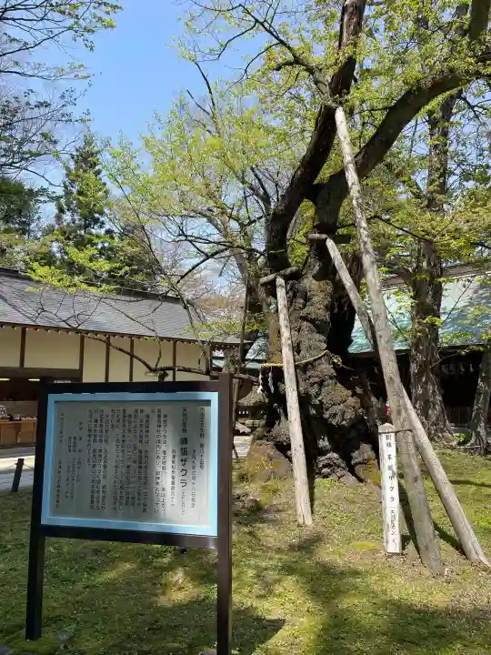 蠶養國神社(福島県)