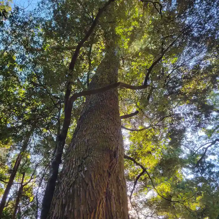 伊勢神宮内宮(皇大神宮)(三重県)