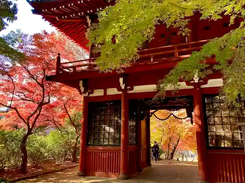 本土寺の山門