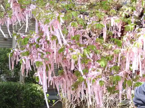 桜神宮(東京都)