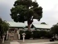 伊勢原大神宮の本殿・本堂