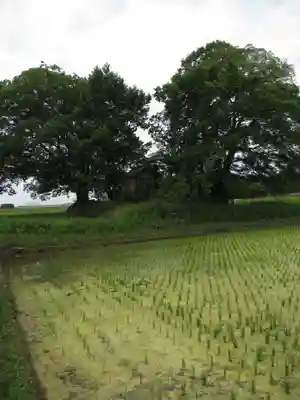 神明神社(千葉県)