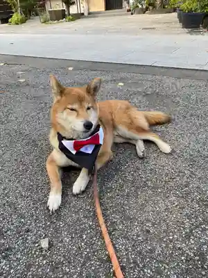 感通寺(東京都)
