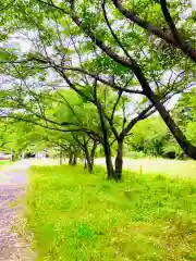 金村別雷神社(茨城県)