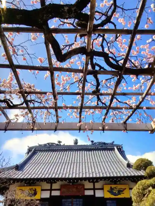 長善寺(東京都)