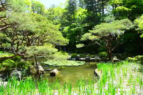 平安神宮の庭園