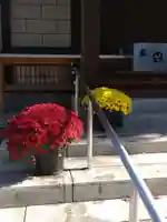 大沼神社のその他建物