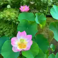 伊勢の国 四天王寺(三重県)